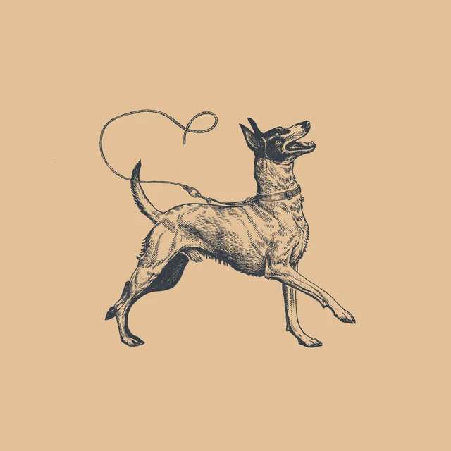 Illustration: ein Hund unterwegs an lockerer Leine