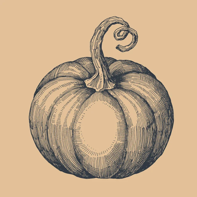 Gezeichnete Illustration eines Kürbis