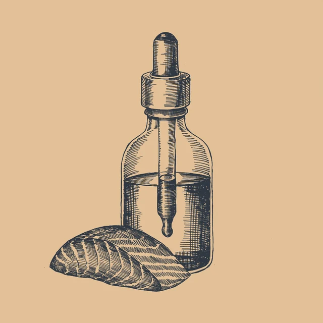 Gezeichnete Illustration einer Flasche Lachsöl